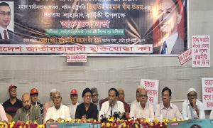 উপদেষ্টা পরিষদে ছাত্রদের রাখা ভুল হয়েছে: মেজর (অব.) হাফিজ