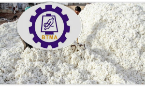 তুলা নিয়ে যে দাবি বস্ত্র মালিকদের সংগঠনের