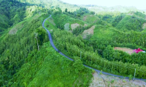 অশান্ত পাহাড়, দু'পক্ষের গোলাগুলি