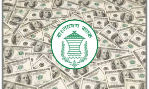 বাড়ল রিজার্ভ, নেপথ্যের কারণ জানালো বাংলাদেশ ব্যাংক