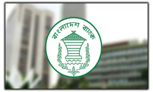 ঋণ নিয়ে কেন্দ্রীয় ব্যাংকের নতুন নির্দেশনা
