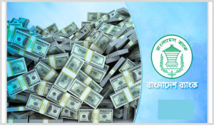 ডলারের অস্থিরতা ঠেকাতে যে ব্যবস্থা নিল বাংলাদেশ ব্যাংক