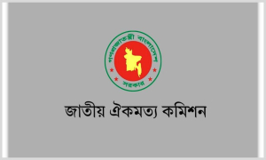 প্রধানমন্ত্রী হতে পারবেন না দলীয় প্রধান