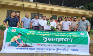 জুলাই শহীদ দিবস উপলক্ষে চট্টগ্রাম বিআরটিএ'র বৃক্ষরোপণ