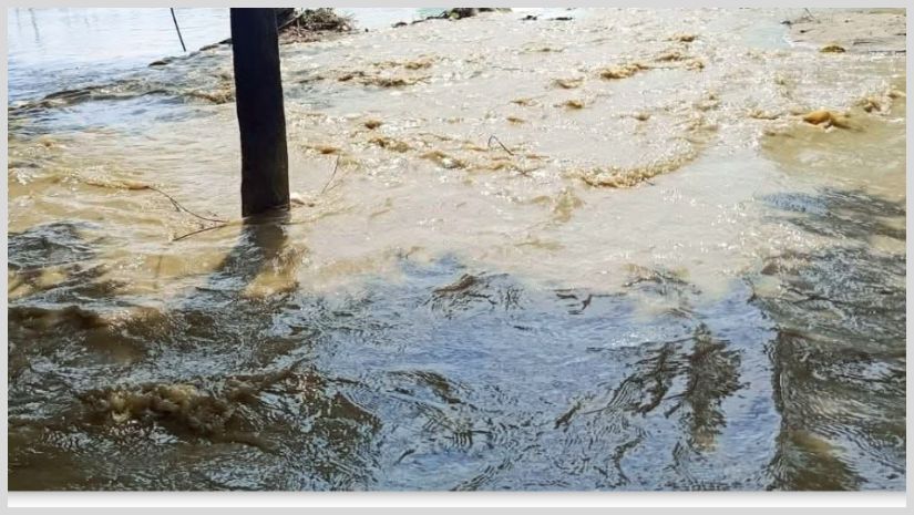 ফেনী