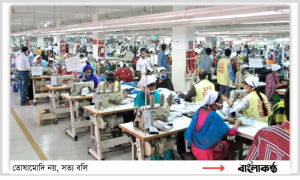 স্বপ্ন দেখাচ্ছে অপ্রচলিত বাজার