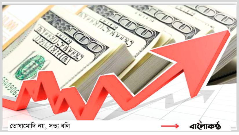 বিনিয়োগ