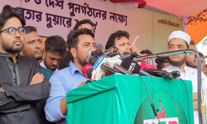 বিএনপির ঐক্যের বিষয়ে যা বললেন নাহিদ