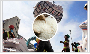 ৪ লাখ টন চাল আমদানির সিদ্ধান্ত