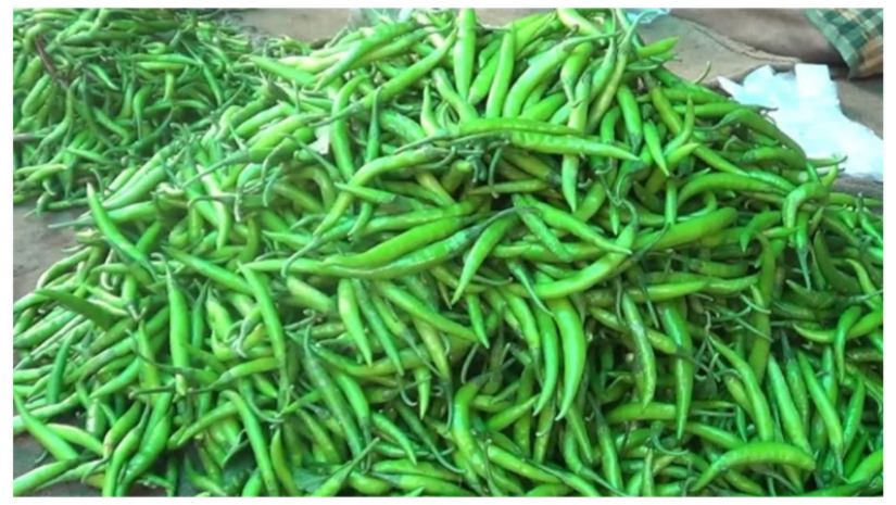 কাঁচা মরিচ