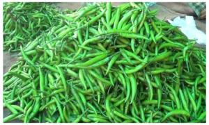 কমল কাঁচা মরিচের দাম