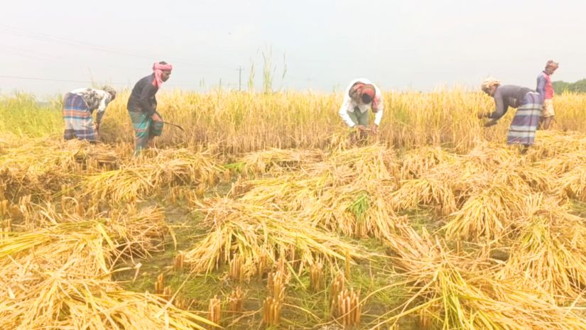ঋণ