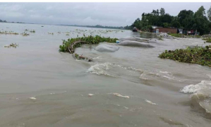 তলিয়ে যাচ্ছে একের পর এক গ্রাম