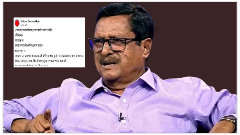 বিএনপি