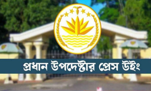 নোয়াবের উদ্বেগ প্রত্যাখান প্রেস উইংয়ের 