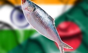 হাসিনাকেও ছাড়িয়ে গেলেন ড. ইউনুস