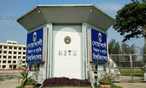 বন্ধুকে ভিডিও কলে রেখেই নোবিপ্রবি শিক্ষার্থীর আত্মহত্যা 