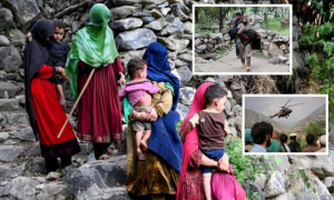 মৃতের সংখ্যা বেড়ে ৯০০
