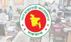 আসছে সুখবর