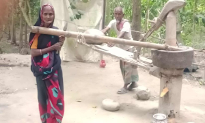 ৩৫ বছর ধরে কাঁধে জোঁয়াল, খোলা আকাশের নিচে জীবনযুদ্ধ
