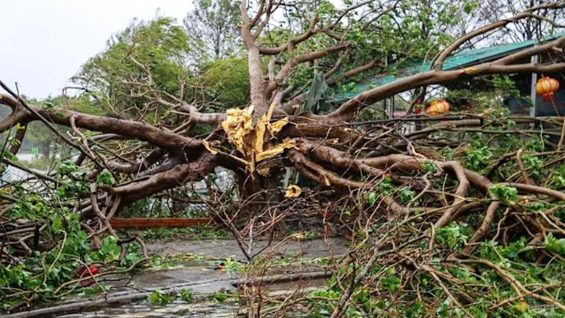 ভিয়েতনাম