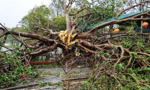 লণ্ডভণ্ড ভিয়েতনাম