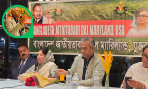 রাজনীতি চর্চা হবে কর্মীদের সহযোদ্ধা ভাবা, কর্মচারী নয়: ড. নয়ন বাংগালী