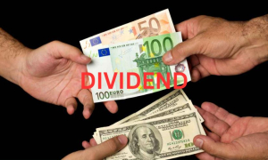 ২ কোম্পানির ডিভিডেন্ড ঘোষণা