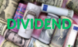 ৩.৫ শতাংশ ডিভিডেন্ড ঘোষণা কোম্পানির