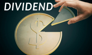 ৫০ শতাংশ ডিভিডেন্ড ঘোষণা করল কোম্পানি