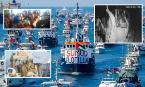 ফ্লোটিলার কতগুলো জাহাজ আটক করেছে ইসরায়েল?