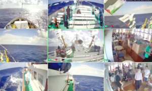 ইসরায়েলের হাতে আটক শহিদুল আলম!