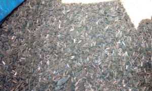 গুদাম থেকে মিলল ১৩ টন বন্দুকের খোসা, তোলপাড়