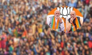 ভারতের স্বরাষ্ট্রমন্ত্রীর বক্তব্য নিয়ে তোলপাড়