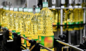 ‘ভোজ্যতেলের দাম বাড়ায়নি সরকার’