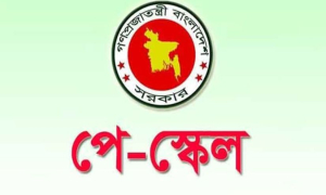 নতুন পে স্কেলের সুবিধা