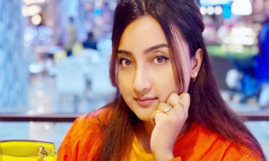 অভিনয়ে নাম লেখাচ্ছেন নোবেলের সাবেক স্ত্রী