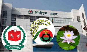 সংকটে বিএনপির ধানের শীষ!