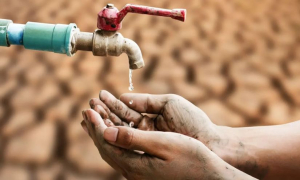 দেশের একাধিক অঞ্চলকে পানি সংকটাপন্ন ঘোষণা