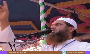 শাপলার শহীদদের রাষ্ট্রীয় স্বীকৃতি নিয়ে যা বললেন মামুনুল হক