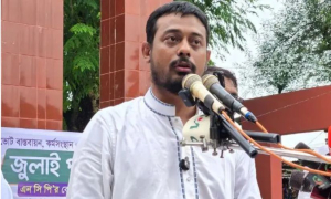 প্রধানমন্ত্রীর বরিশাল সফর নিয়ে নাসীরুদ্দীন পাটওয়ারীর সমালোচনা