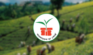 বাংলাদেশ চা বোর্ডে ৩৬ পদে চাকরি