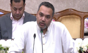 নতজানু পররাষ্ট্রনীতি নিয়ে যা বললেন প্রধানমন্ত্রীর উপদেষ্টা মাহদি আমিন