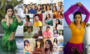 আ.লীগের দোসর তারাকারা কে কোথায়?