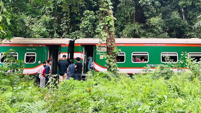ট্রেন