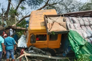 প্রচণ্ড গতিতে টোল প্লাজার গাড়িগুলোর ওপর আছড়ে পড়ল ট্রাক, নিহত ১৪